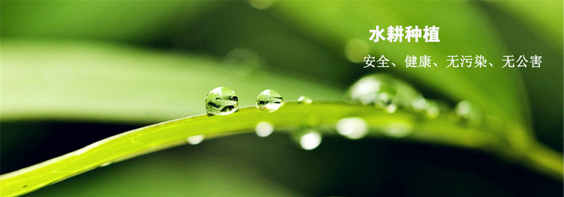 &#49;&#120;&#66;&#69;&#84;&#40;&#20013;&#22269;&#41;&#23448;&#26041;&#32593;&#31449;&#45;&#30331;&#24405;&#20837;&#21475;